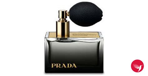 prada ambree fragrantica|prada amber perfume boots.